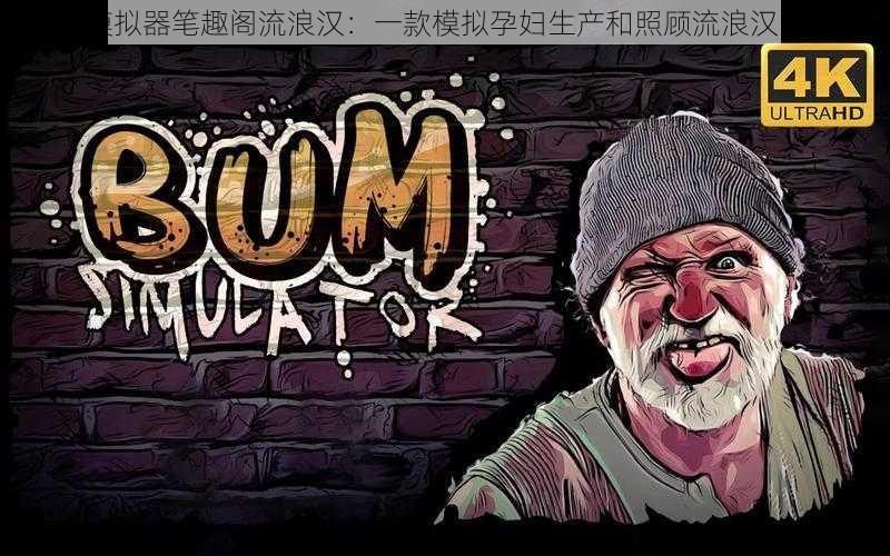 孕产模拟器笔趣阁流浪汉:一款模拟孕妇生产和照顾流浪汉的游戏