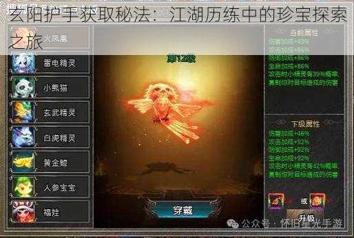 玄阳护手获取秘法:江湖历练中的珍宝探索之旅