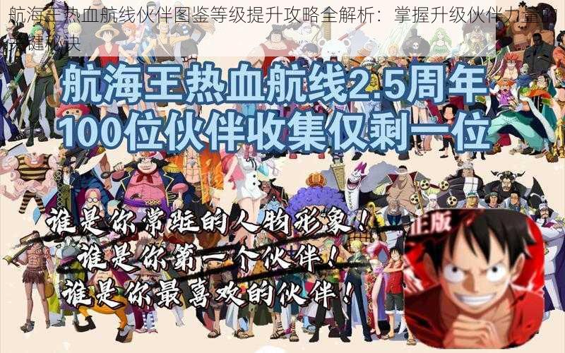航海王热血航线伙伴图鉴等级提升攻略全解析:掌握升级伙伴力量的关键秘诀