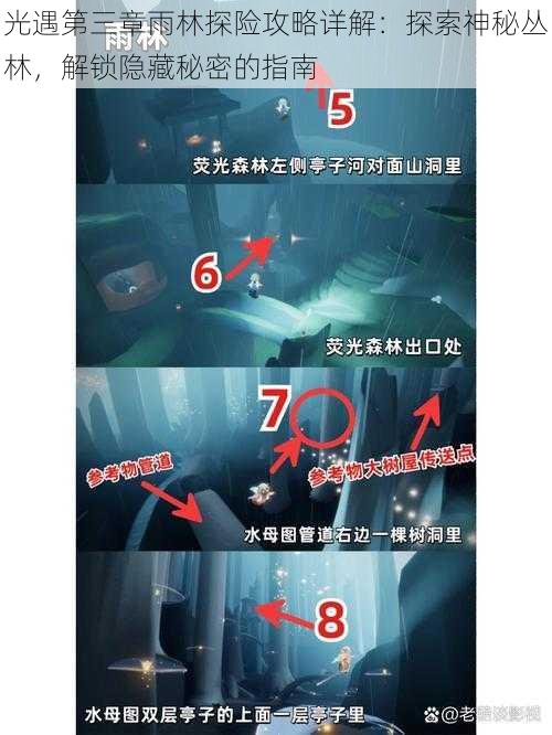 光遇第三章雨林探险攻略详解:探索神秘丛林,解锁隐藏秘密的指南