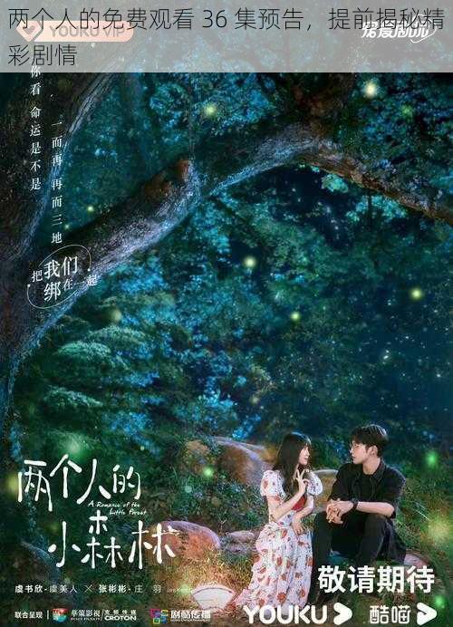 两个人的免费观看 36 集预告,提前揭秘精彩剧情