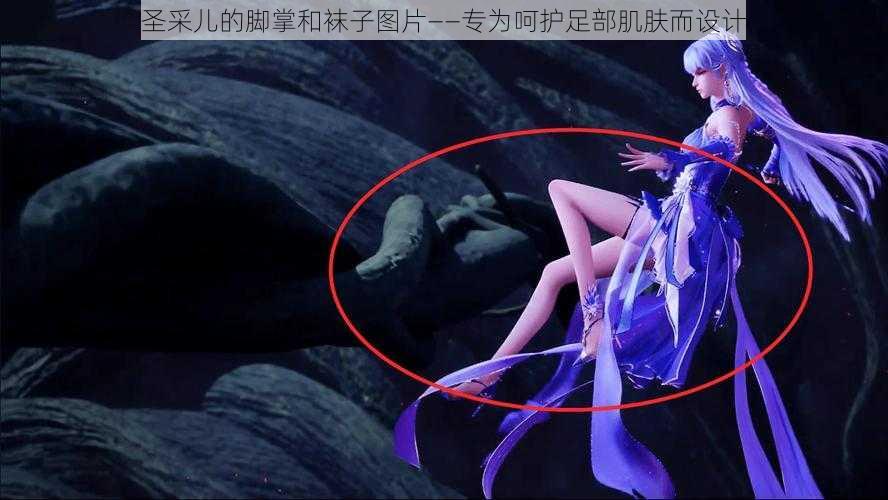 圣采儿的脚掌和袜子图片——专为呵护足部肌肤而设计