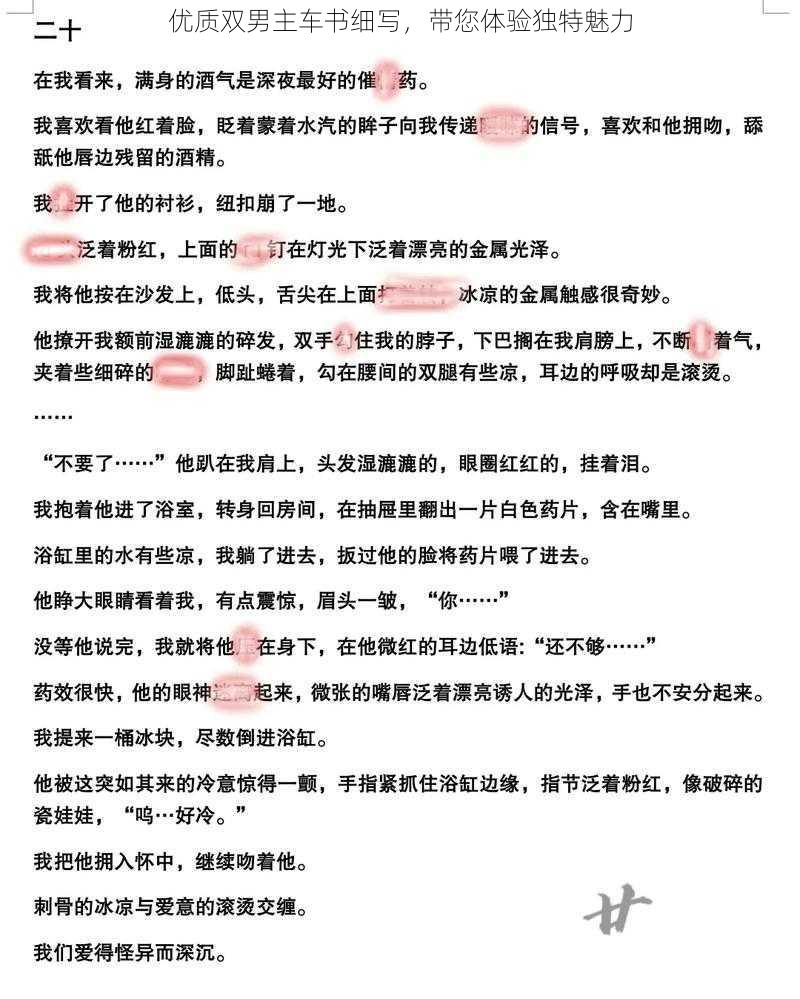 优质双男主车书细写,带您体验独特魅力