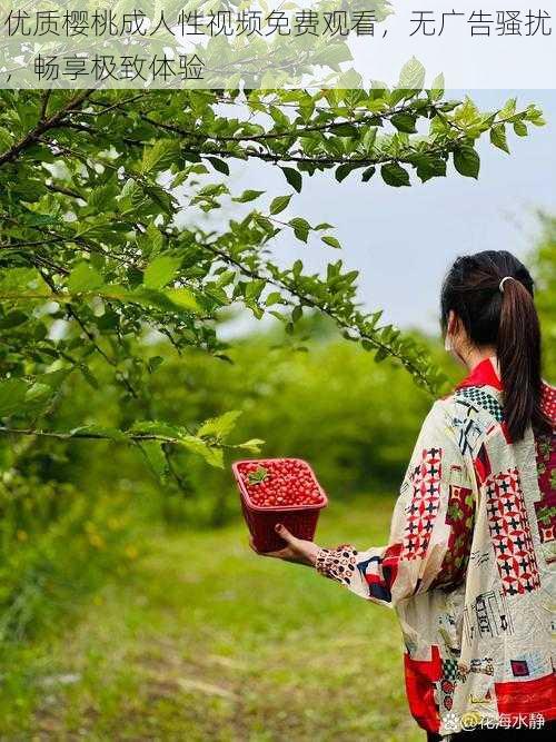 优质樱桃成人性视频免费观看,无广告骚扰,畅享极致体验