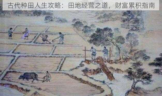 古代种田人生攻略:田地经营之道,财富累积指南