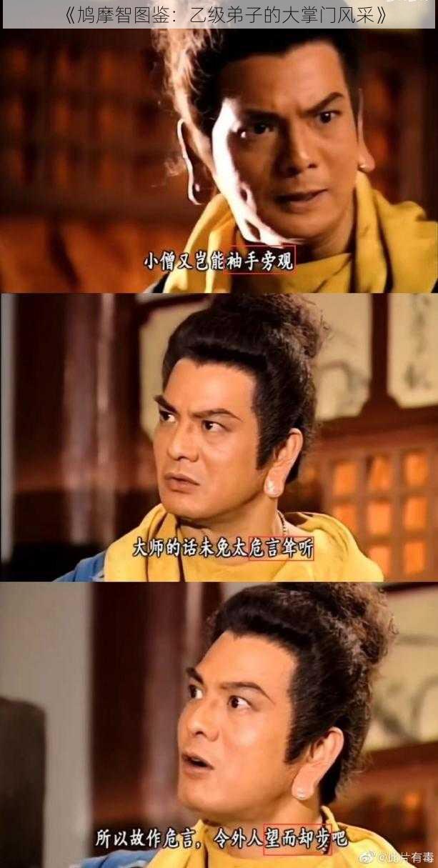 《鸠摩智图鉴:乙级弟子的大掌门风采》