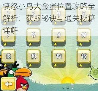 愤怒小鸟大金蛋位置攻略全解析:获取秘诀与通关秘籍详解