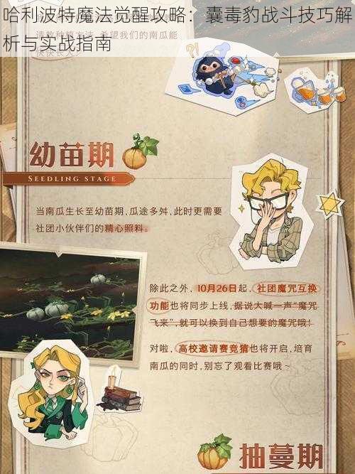 哈利波特魔法觉醒攻略:囊毒豹战斗技巧解析与实战指南