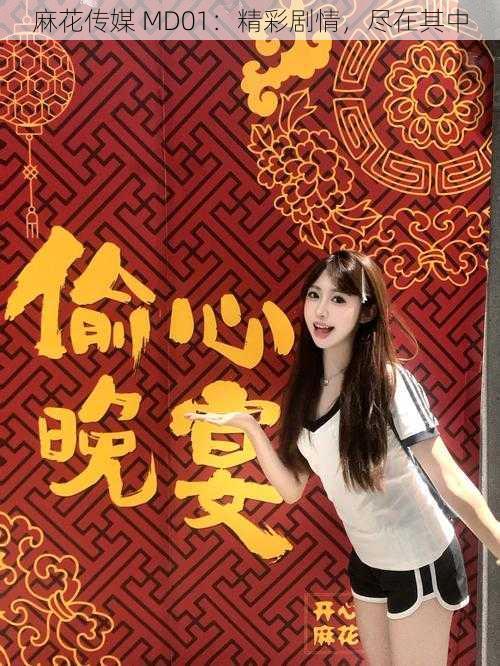 麻花传媒 MD01:精彩剧情,尽在其中