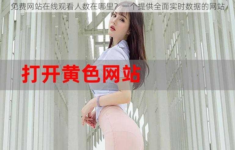 免费网站在线观看人数在哪里?一个提供全面实时数据的网站