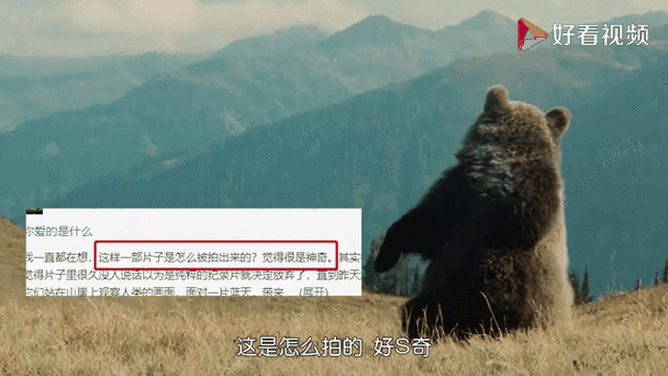 猎人探寻生态之境,揭秘抓熊最佳地点:深入山林秘境追踪熊踪记