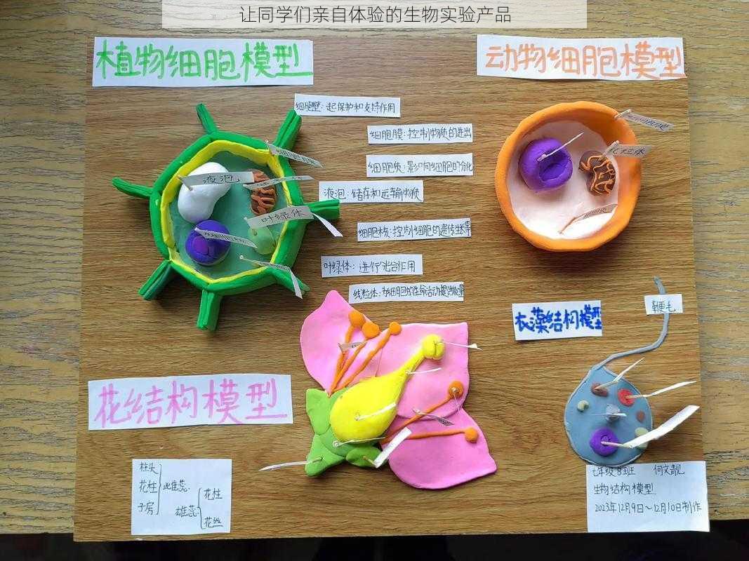 让同学们亲自体验的生物实验产品