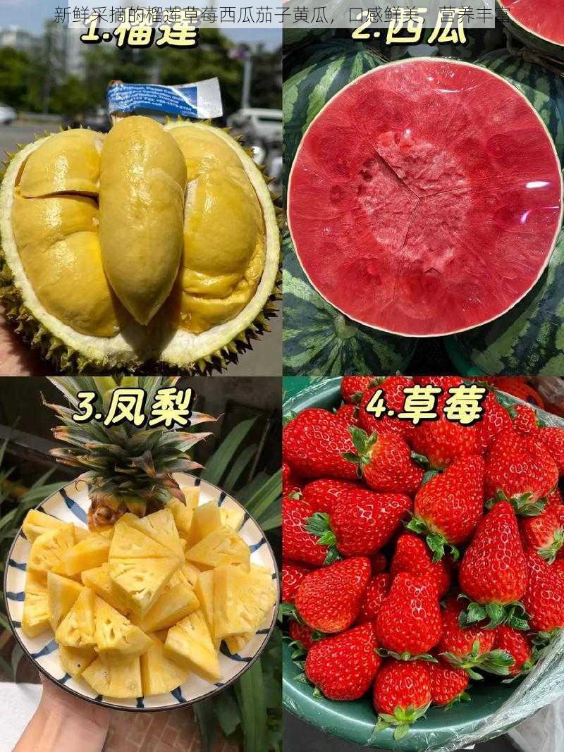 新鲜采摘的榴莲草莓西瓜茄子黄瓜,口感鲜美,营养丰富