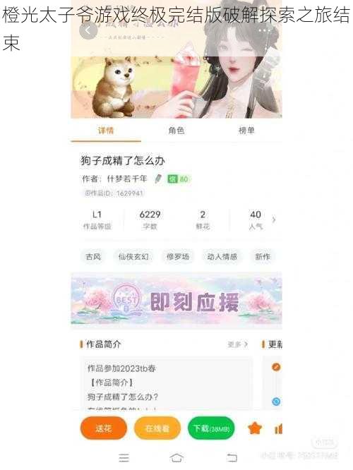 橙光太子爷游戏终极完结版破解探索之旅结束