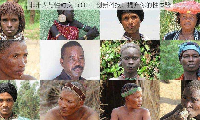非卅人与性动交 CcOO:创新科技,提升你的性体验