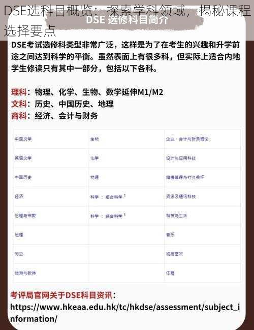 DSE选科目概览:探索学科领域,揭秘课程选择要点