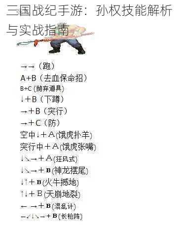 三国战纪手游:孙权技能解析与实战指南