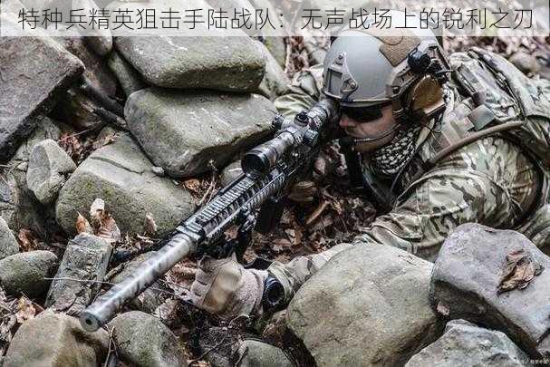 特种兵精英狙击手陆战队:无声战场上的锐利之刃