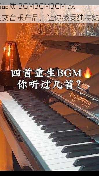 高品质 BGMBGMBGM 成熟交音乐产品,让你感受独特魅力