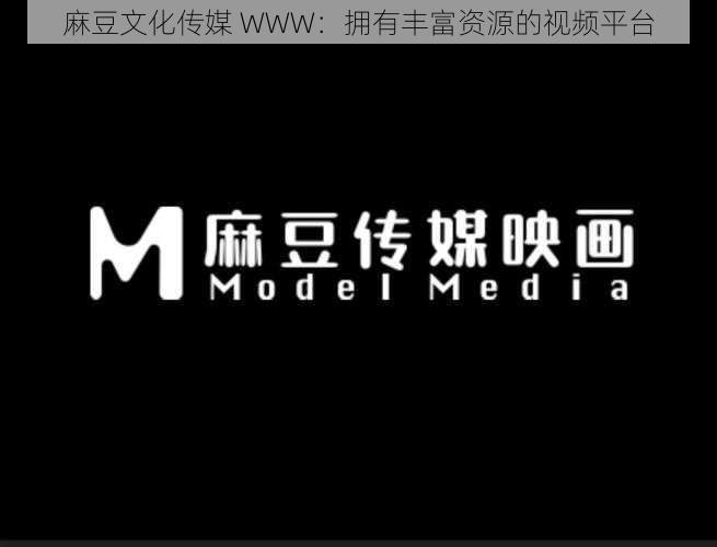 麻豆文化传媒 WWW:拥有丰富资源的视频平台