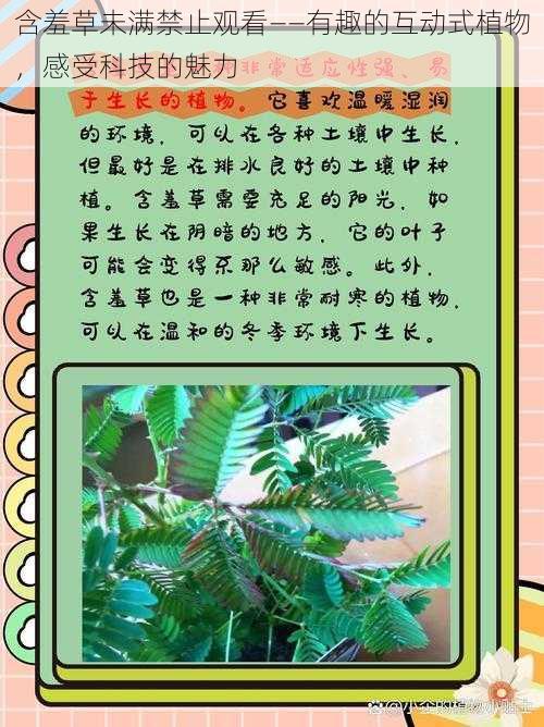 含羞草未满禁止观看——有趣的互动式植物,感受科技的魅力