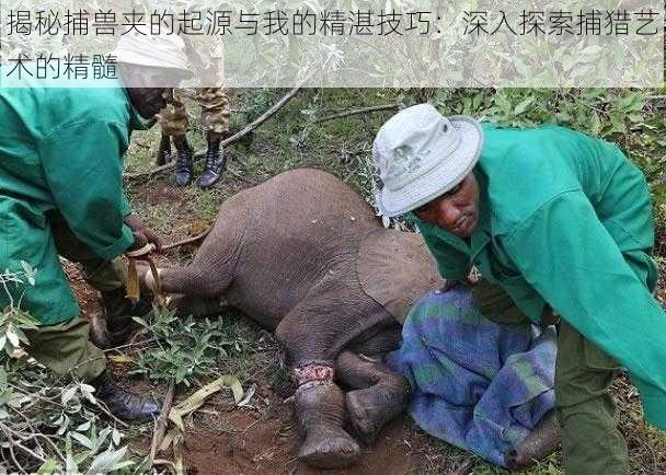 揭秘捕兽夹的起源与我的精湛技巧:深入探索捕猎艺术的精髓