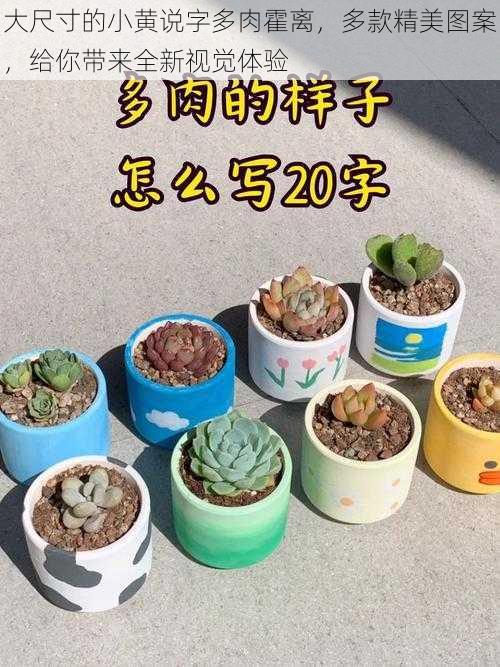 大尺寸的小黄说字多肉霍离,多款精美图案,给你带来全新视觉体验