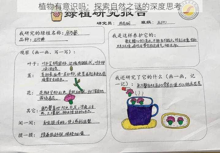 植物有意识吗:探索自然之谜的深度思考