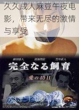 久久成人麻豆午夜电影,带来无尽的激情与享受