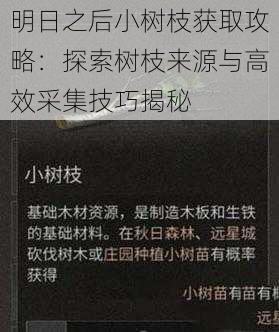 明日之后小树枝获取攻略:探索树枝来源与高效采集技巧揭秘