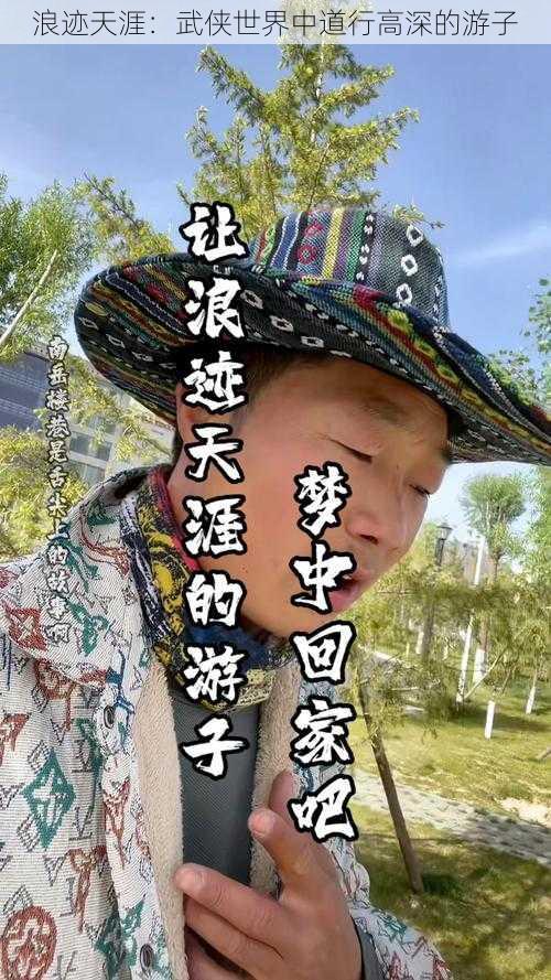 浪迹天涯:武侠世界中道行高深的游子