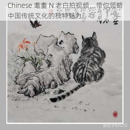 Chinese 耄耋 N 老白拍视频,带你领略中国传统文化的独特魅力