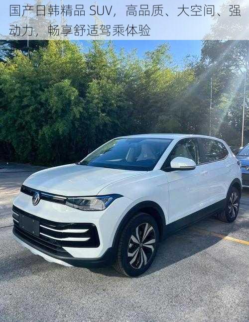 国产日韩精品 SUV,高品质、大空间、强动力,畅享舒适驾乘体验
