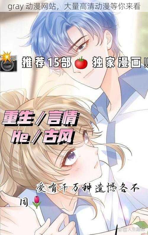 gray 动漫网站,大量高清动漫等你来看