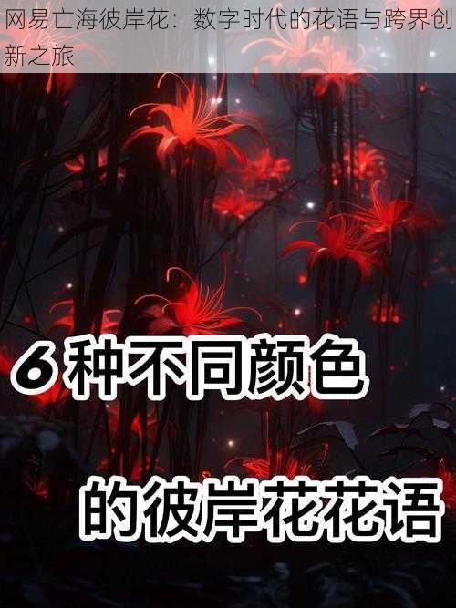 网易亡海彼岸花:数字时代的花语与跨界创新之旅