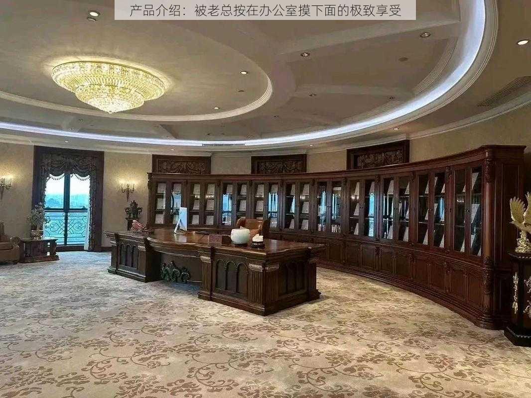 产品介绍:被老总按在办公室摸下面的极致享受