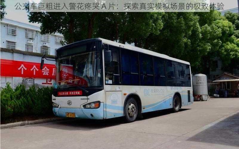 公交车巨粗进入警花疼哭 A 片:探索真实模拟场景的极致体验