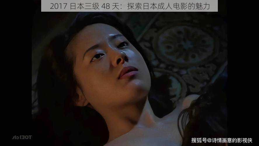 2017 日本三级 48 天:探索日本成人电影的魅力