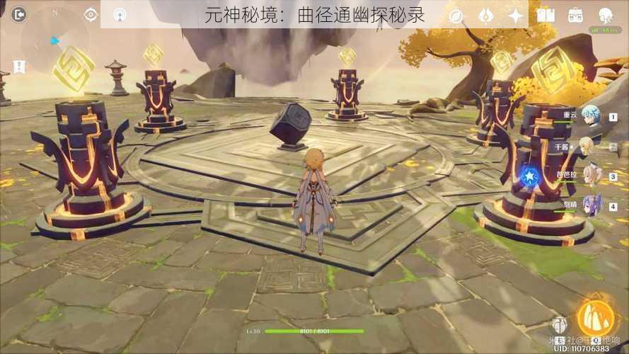 元神秘境:曲径通幽探秘录