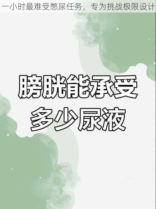 一小时最难受憋尿任务,专为挑战极限设计