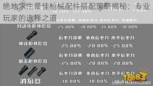 绝地求生最佳枪械配件搭配策略揭秘:专业玩家的选择之道