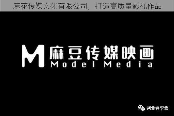 麻花传媒文化有限公司,打造高质量影视作品