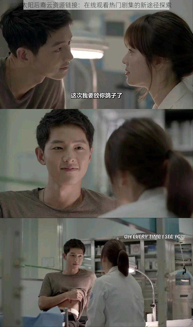 太阳后裔云资源链接:在线观看热门剧集的新途径探索