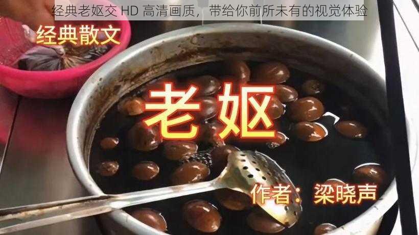 经典老妪交 HD 高清画质,带给你前所未有的视觉体验