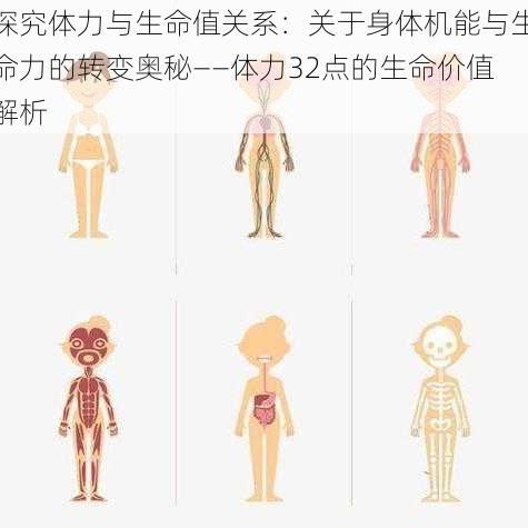 探究体力与生命值关系:关于身体机能与生命力的转变奥秘——体力32点的生命价值解析