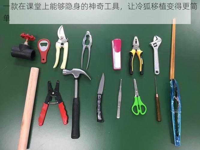 一款在课堂上能够隐身的神奇工具,让冷狐移植变得更简单
