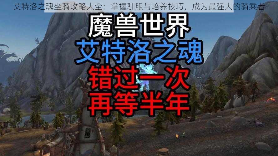 艾特洛之魂坐骑攻略大全:掌握驯服与培养技巧,成为最强大的骑乘者