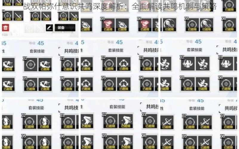 战双帕弥什意识共鸣深度解析:全面解读共鸣机制与策略