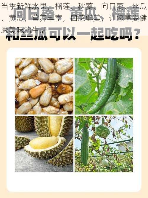 当季新鲜水果,榴莲、秋葵、向日葵、丝瓜、黄瓜,营养丰富,口感鲜美,让您享受健康美味的生活