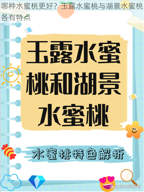 哪种水蜜桃更好?玉露水蜜桃与湖景水蜜桃各有特点